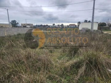 Terreno Agricola ou Rústico para Venda em Quinta do Anjo