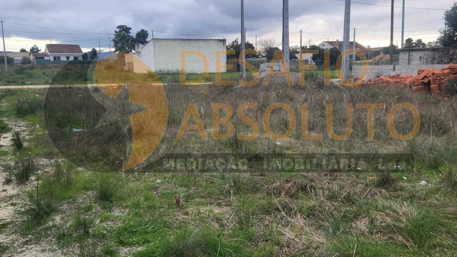 Terreno Agricola ou Rústico para Venda em Quinta do Anjo