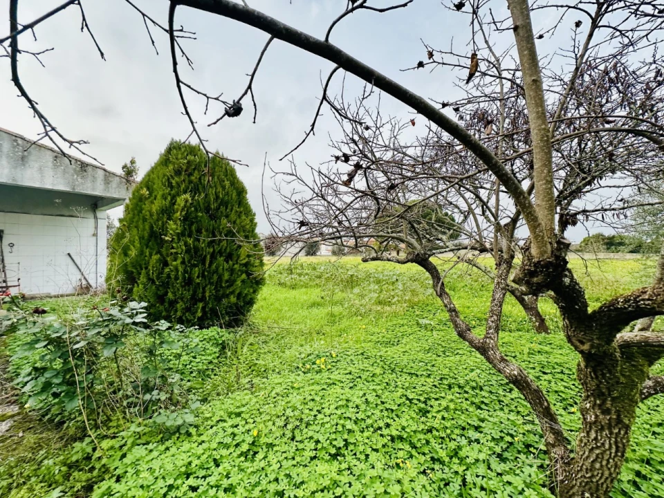 Quinta para Venda em São Miguel do Rio Torto e Rossio Ao Sul do Tejo Foto 15