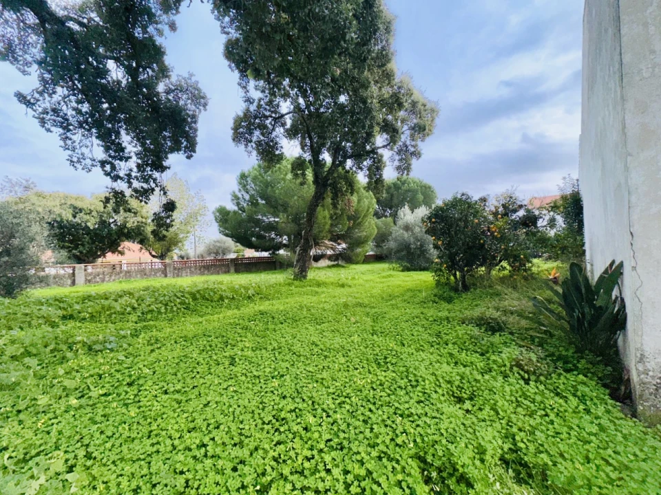 Quinta para Venda em São Miguel do Rio Torto e Rossio Ao Sul do Tejo Foto 30