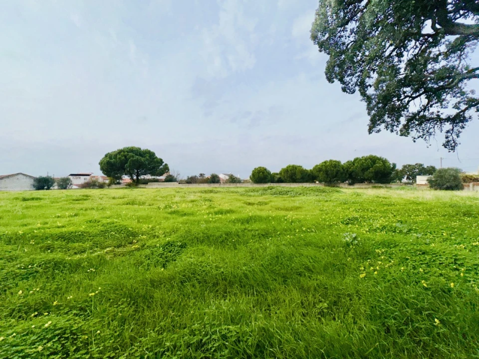 Quinta para Venda em São Miguel do Rio Torto e Rossio Ao Sul do Tejo Foto 31