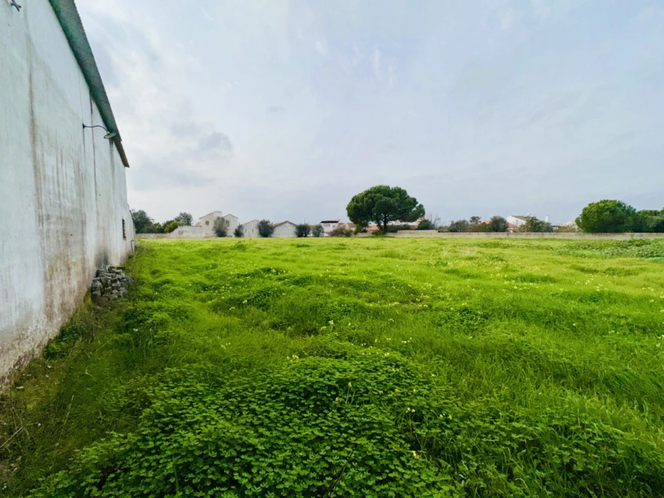 Quinta para Venda em São Miguel do Rio Torto e Rossio Ao Sul do Tejo Foto 33