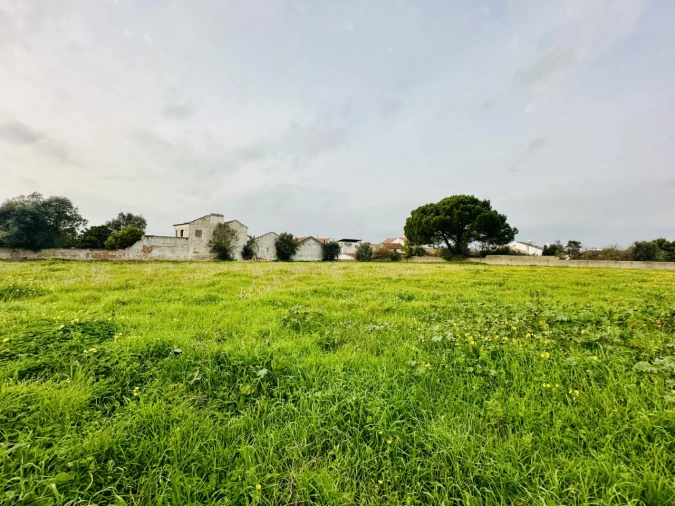 Quinta para Venda em São Miguel do Rio Torto e Rossio Ao Sul do Tejo