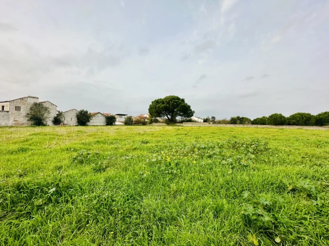 Quinta para Venda em São Miguel do Rio Torto e Rossio Ao Sul do Tejo Foto 2