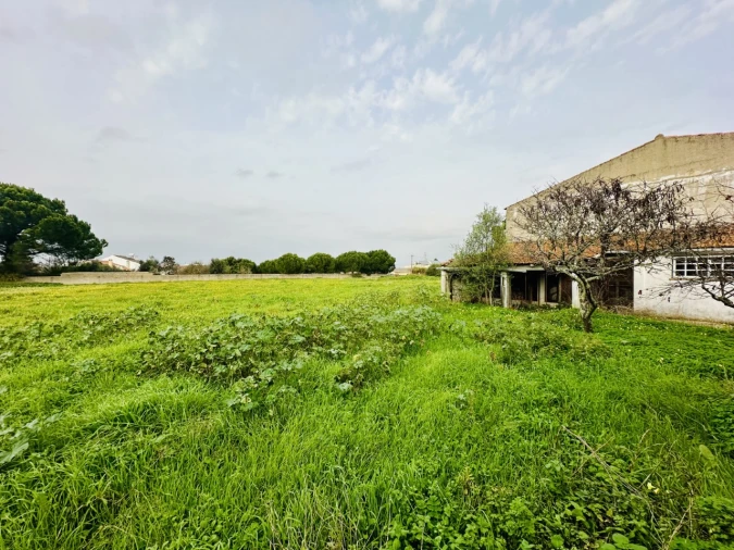 Quinta para Venda em São Miguel do Rio Torto e Rossio Ao Sul do Tejo Foto 10