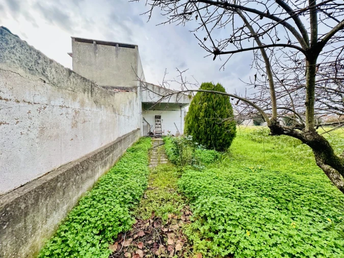 Quinta para Venda em São Miguel do Rio Torto e Rossio Ao Sul do Tejo Foto 17