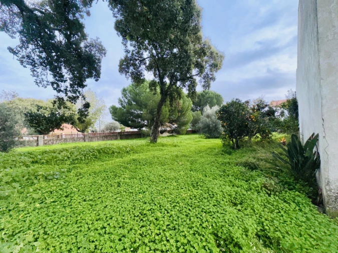 Quinta para Venda em São Miguel do Rio Torto e Rossio Ao Sul do Tejo Foto 30