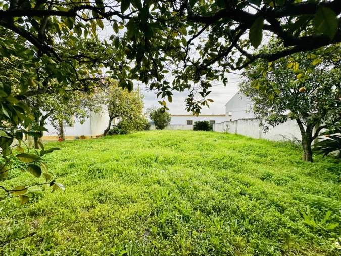 Quinta para Venda em São Miguel do Rio Torto e Rossio Ao Sul do Tejo Foto 36
