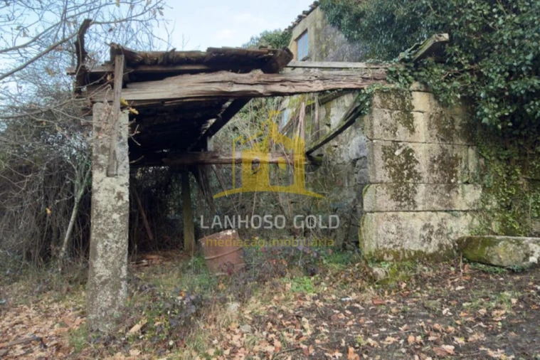 Terreno para Venda em Ruivães e Campos Foto 4