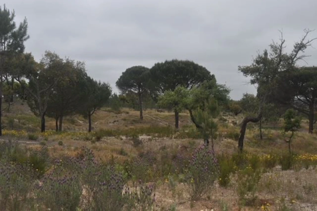 Quinta para Venda em Foros de Arrão Foto 4