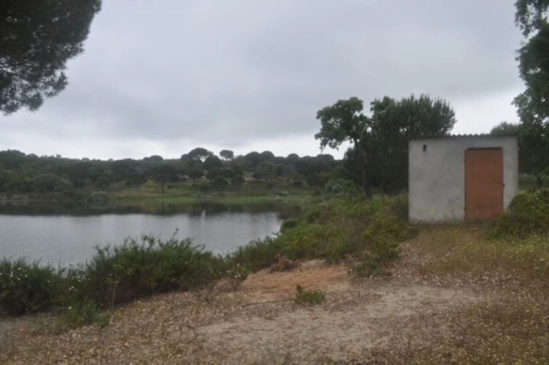 Quinta para Venda em Foros de Arrão Foto 8