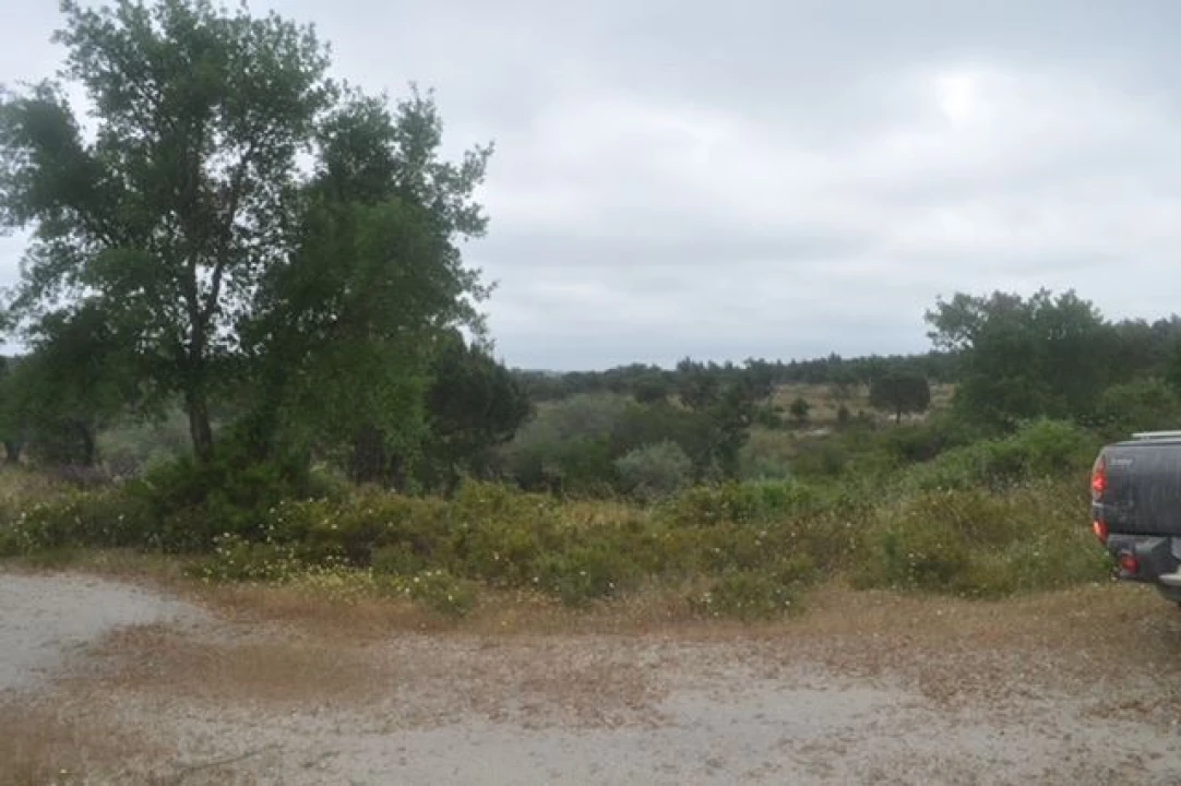 Quinta para Venda em Foros de Arrão Foto 10