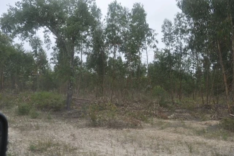 Quinta para Venda em Foros de Arrão Foto 6