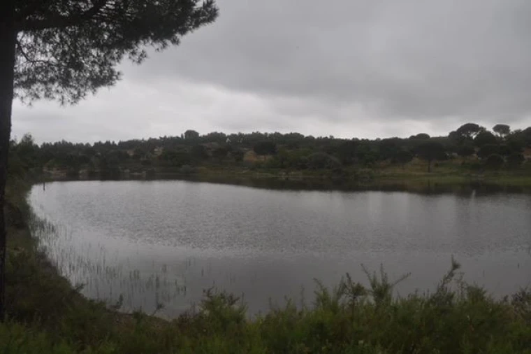 Quinta para Venda em Foros de Arrão Foto 7