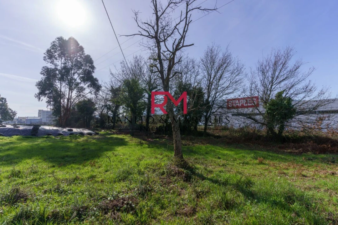 Terreno P/ Prédio para Venda em Valongo Foto 3
