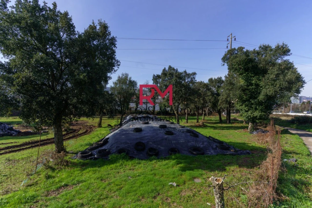 Terreno P/ Prédio para Venda em Valongo Foto 4