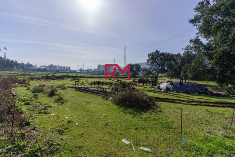 Terreno P/ Prédio para Venda em Valongo Foto 1