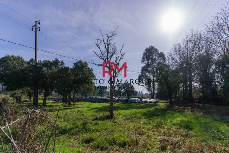 Terreno P/ Prédio para Venda em Valongo Foto 2