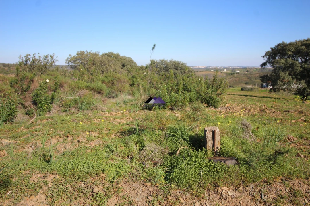 Terreno Agricola ou Rústico para Venda em Castro Marim Foto 3