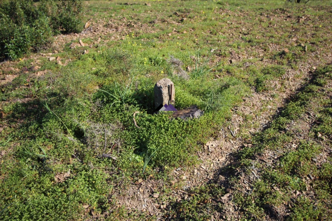 Terreno Agricola ou Rústico para Venda em Castro Marim Foto 4