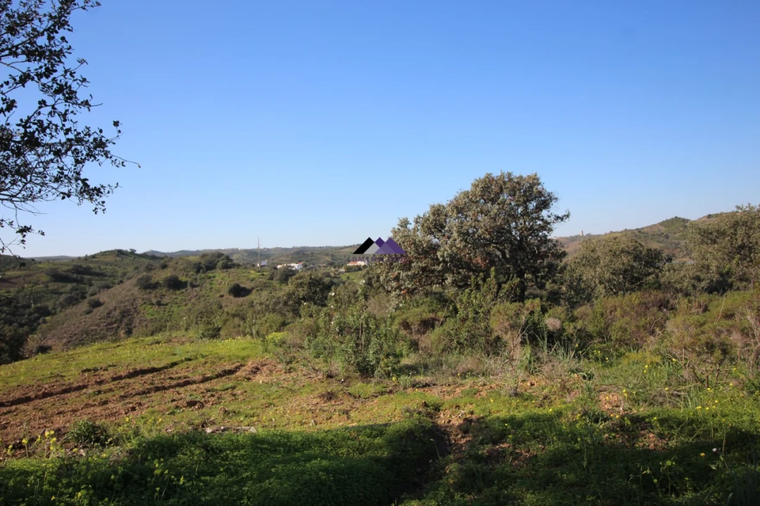 Terreno Agricola ou Rústico para Venda em Castro Marim Foto 6