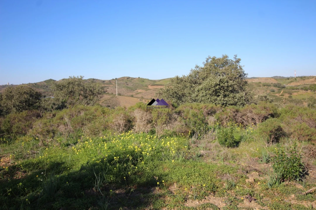 Terreno Agricola ou Rústico para Venda em Castro Marim Foto 8