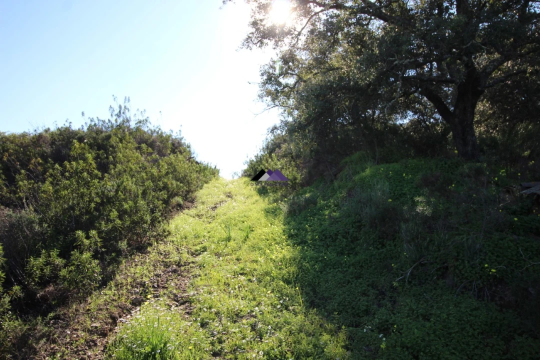 Terreno Agricola ou Rústico para Venda em Castro Marim Foto 10