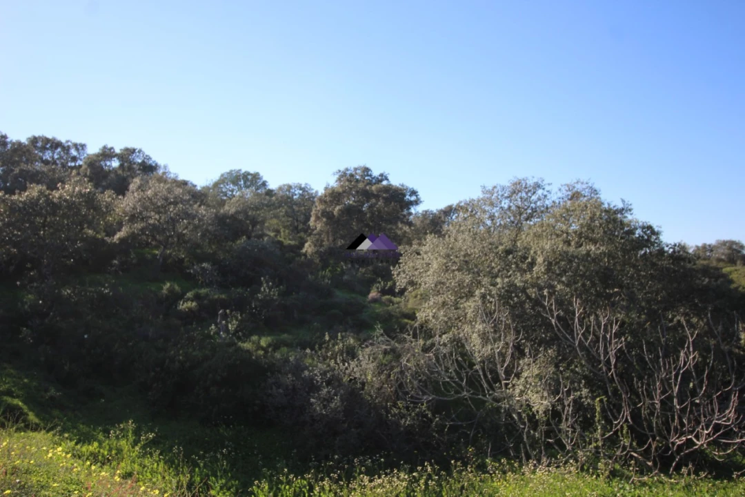 Terreno Agricola ou Rústico para Venda em Castro Marim Foto 12