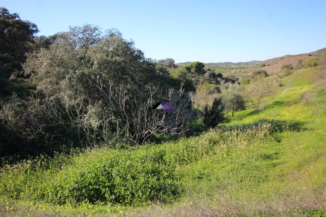 Terreno Agricola ou Rústico para Venda em Castro Marim Foto 13