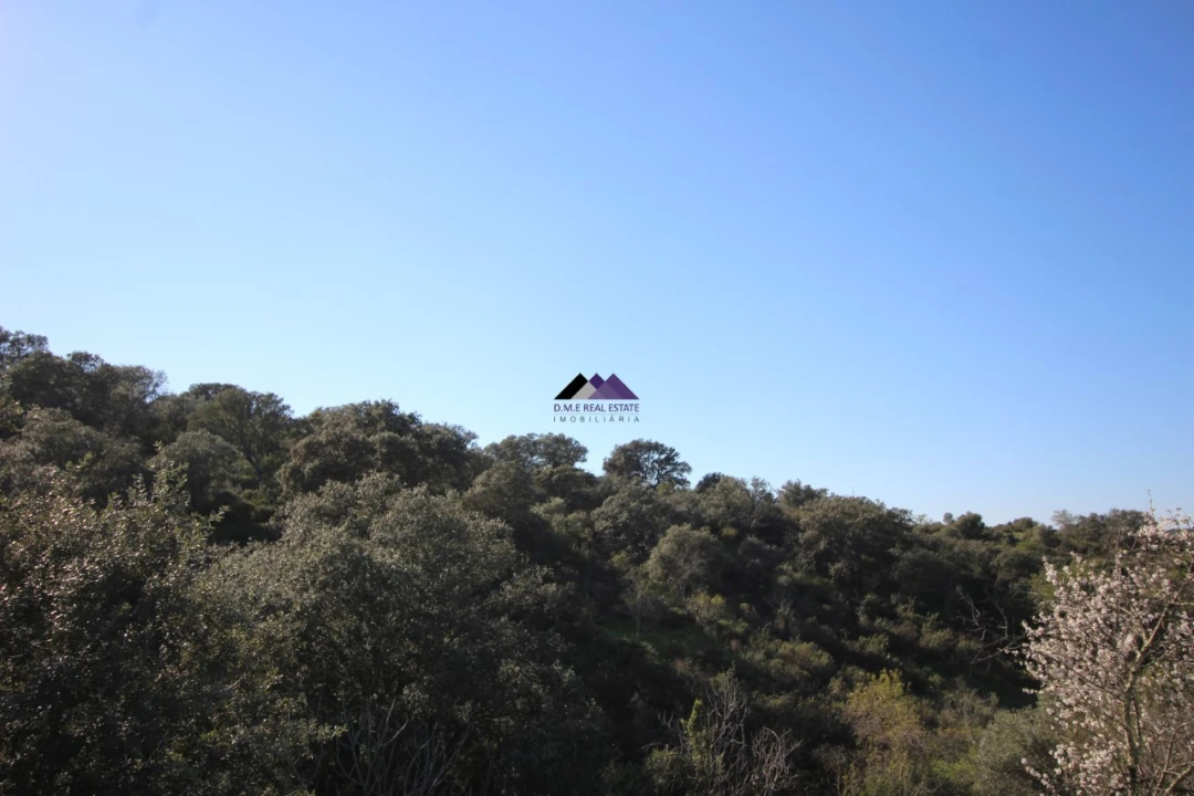 Terreno Agricola ou Rústico para Venda em Castro Marim Foto 15