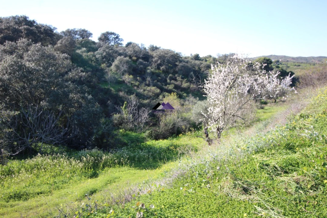 Terreno Agricola ou Rústico para Venda em Castro Marim Foto 16