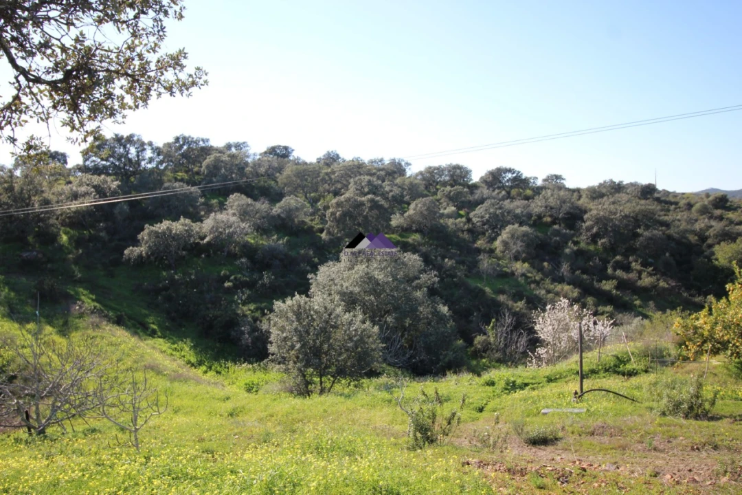 Terreno Agricola ou Rústico para Venda em Castro Marim Foto 17