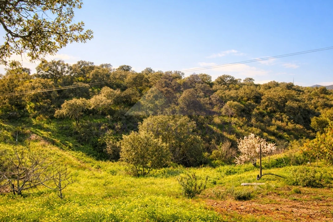 Terreno Agricola ou Rústico para Venda em Castro Marim Foto 1