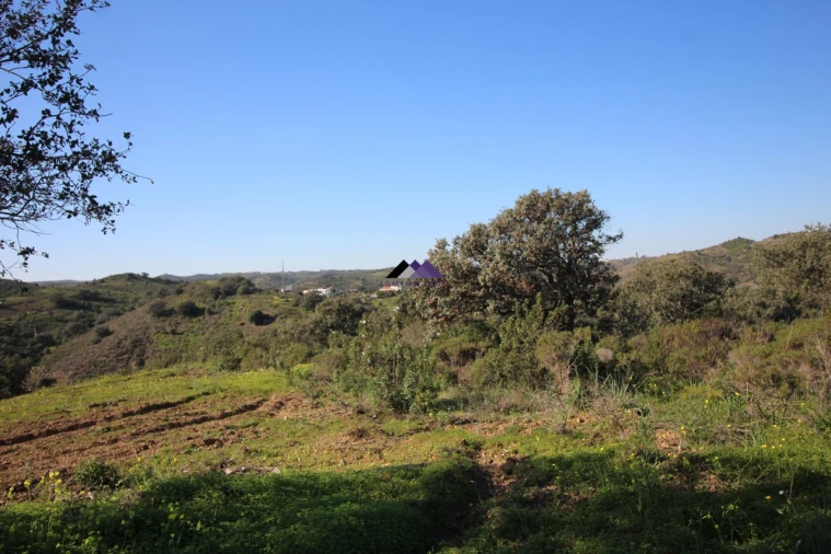 Terreno Agricola ou Rústico para Venda em Castro Marim Foto 6
