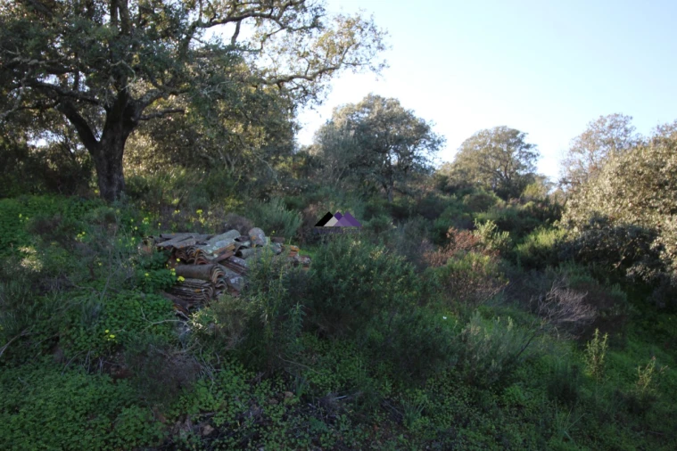 Terreno Agricola ou Rústico para Venda em Castro Marim Foto 11