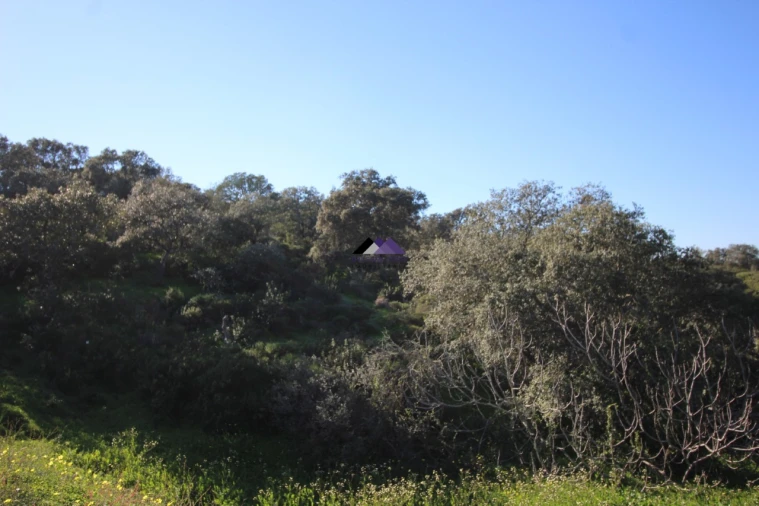 Terreno Agricola ou Rústico para Venda em Castro Marim Foto 12