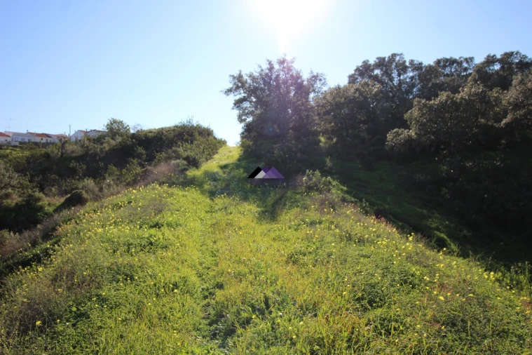 Terreno Agricola ou Rústico para Venda em Castro Marim Foto 14