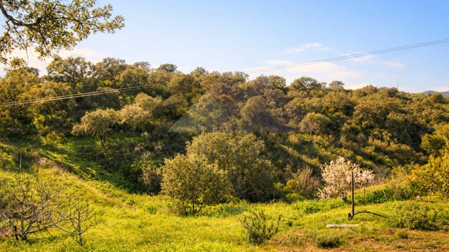 Terreno Agricola ou Rústico para Venda em Castro Marim
