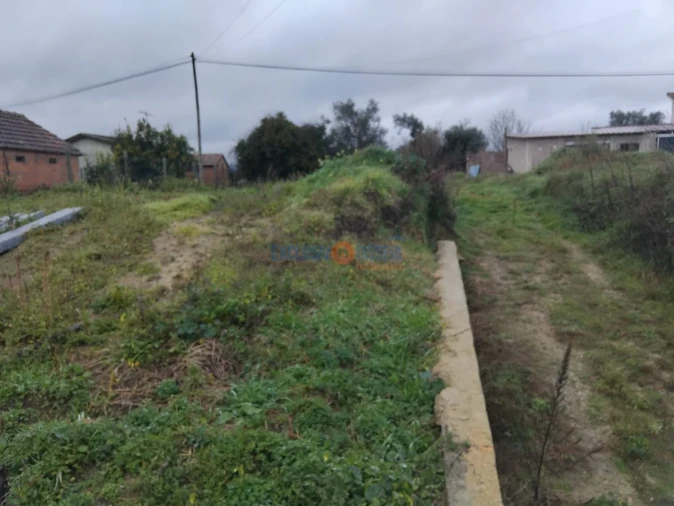 Terreno para Venda em Sever do Vouga Foto 1