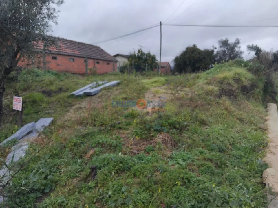 Terreno para Venda em Sever do Vouga Foto 2
