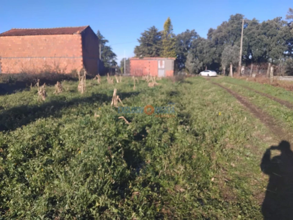 Terreno para Venda em Sever do Vouga Foto 6