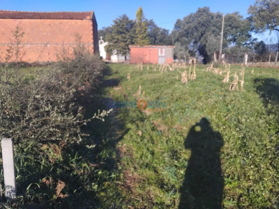 Terreno para Venda em Sever do Vouga Foto 5
