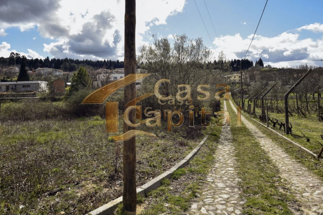 Terreno para Venda em Mateus Foto 16