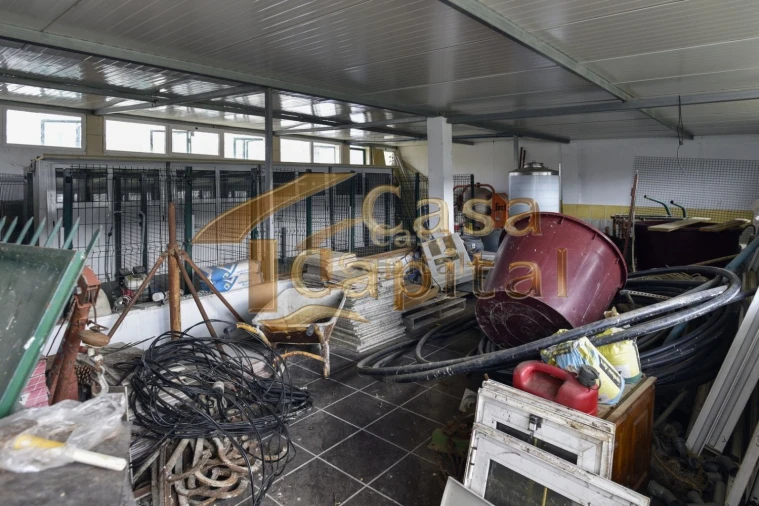 Terreno para Venda em Mateus Foto 12