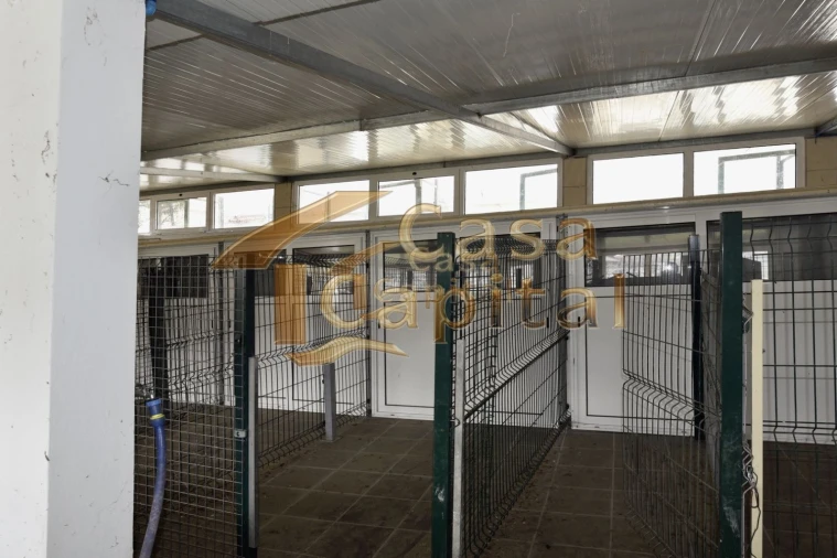 Terreno para Venda em Mateus Foto 4