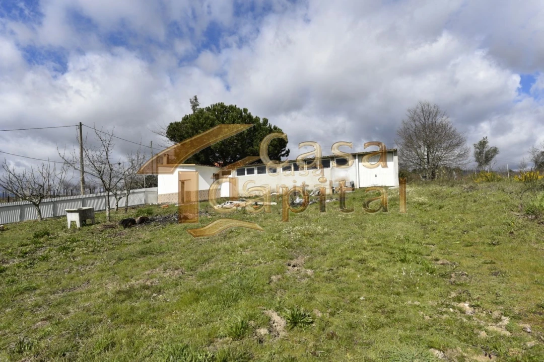 Terreno para Venda em Mateus Foto 1