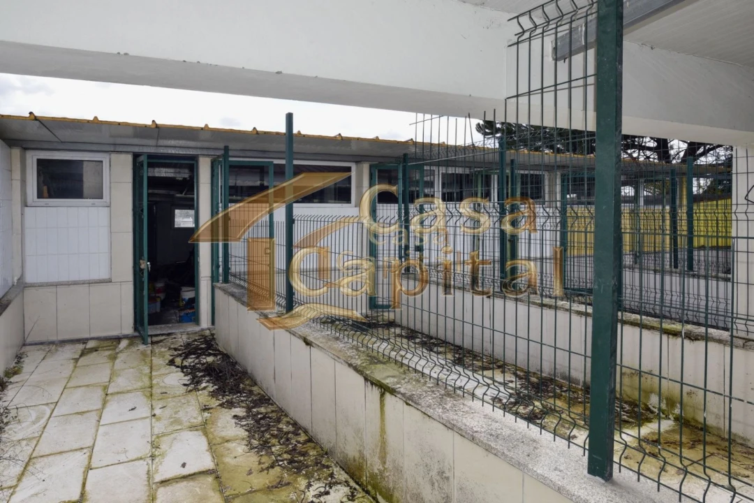 Terreno para Venda em Mateus Foto 9