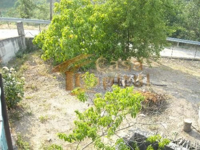 Terreno para Venda em Parada de Cunhos Foto 4