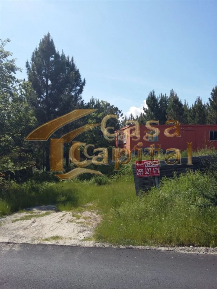 Terreno para Venda em Mouçós e Lamares Foto 3
