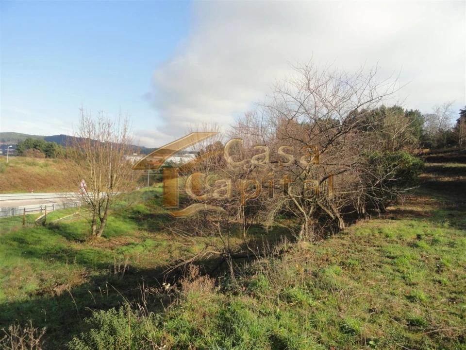 Terreno para Venda em Folhadela Foto 3